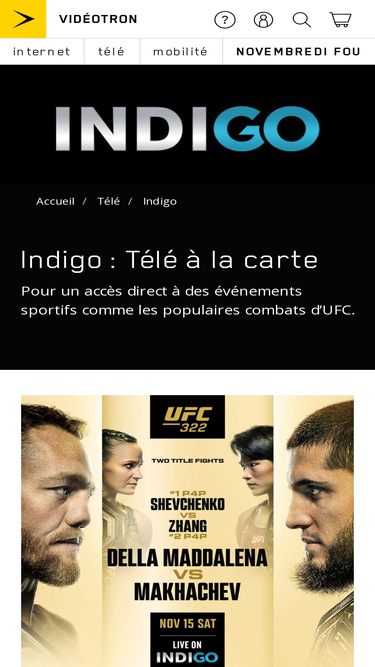 canalindigo.com