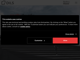 'dils.com' screenshot