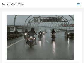 'namesmore.com' screenshot