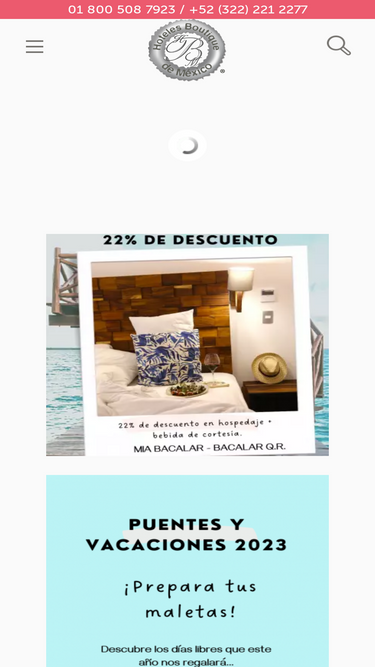 hotelesboutique.com