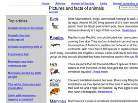 thewebsiteofeverything.com