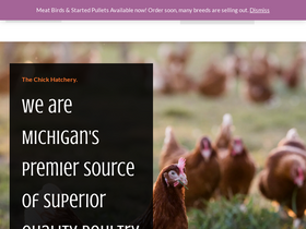 'thechickhatchery.com' screenshot