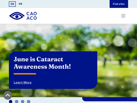 'opto.ca' screenshot