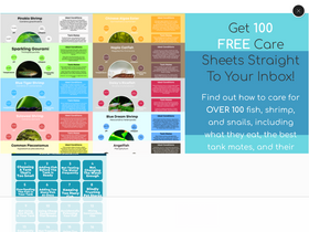 'bettacarefishguide.com' screenshot