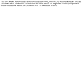 'wideads.com' screenshot