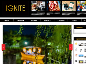 'ignite.jp' screenshot