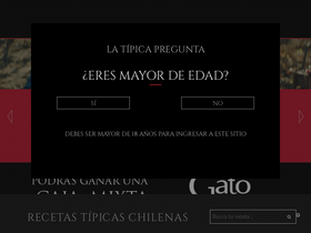 'tipicochileno.cl' screenshot