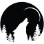 wolfriverelectric.com