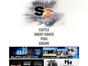 'sconlinesales.com' screenshot
