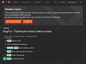 'bugfun.site' screenshot