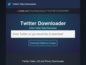 'xxtwitter.com' screenshot