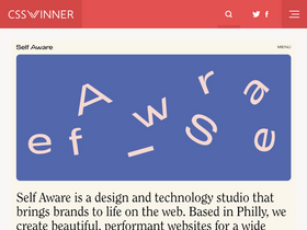 'csswinner.com' screenshot