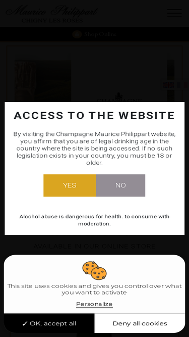 champagne-mphilippart.com