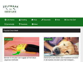 'zelfmaak-ideetjes.nl' screenshot