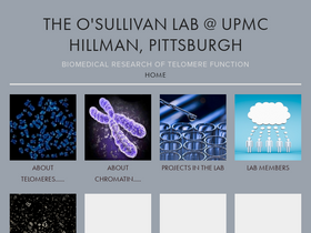 osullivanlab.squarespace.com