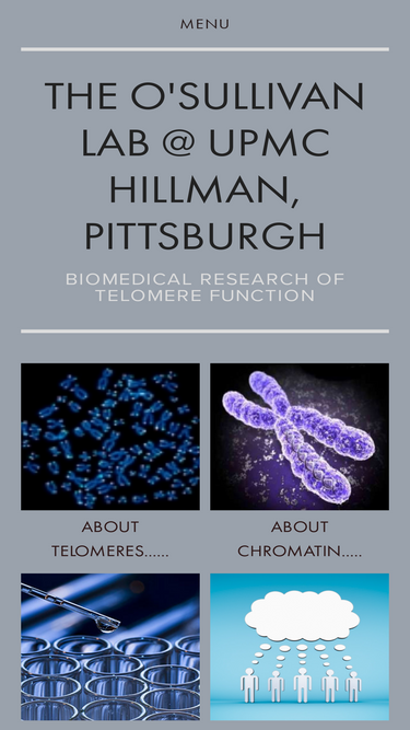 osullivanlab.squarespace.com