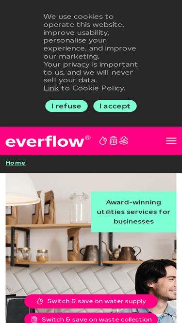 everflowwater.com
