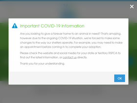 'adoptapet.com.au' screenshot