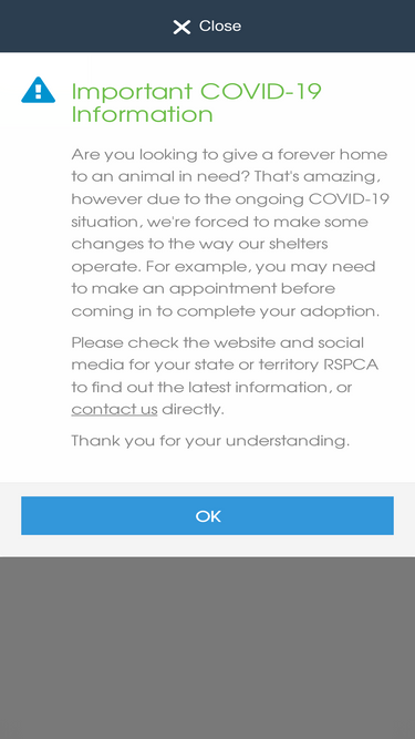 adoptapet.com.au