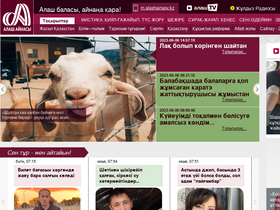 'alashainasy.kz' screenshot