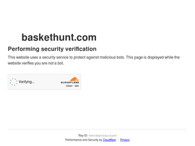 'baskethunt.com' screenshot