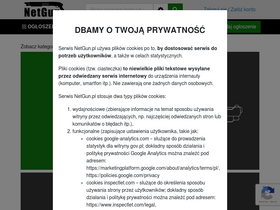 'netgun.pl' screenshot