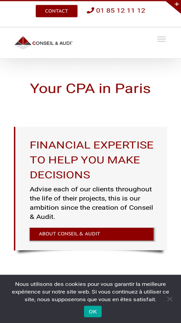 conseilaudit.com