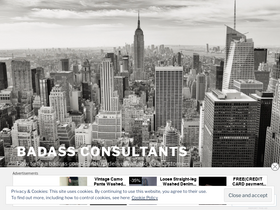 badassconsultants.com