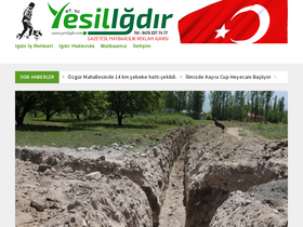 'yesiligdir.com' screenshot