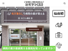 'kamitsure-pharmacy.com' screenshot