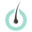 novamane.com