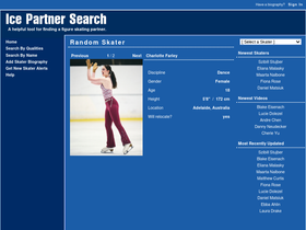 icepartnersearch.com