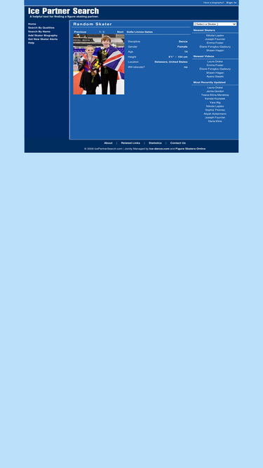icepartnersearch.com