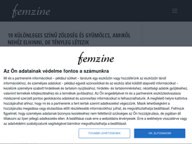 'femzine.com' screenshot