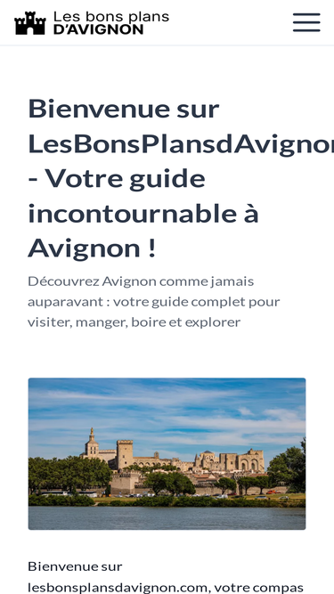lesbonsplansdavignon.com
