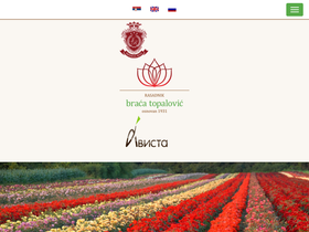bracatopalovic.com