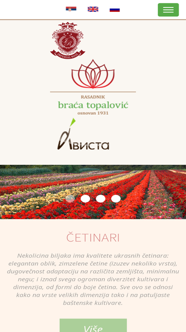 bracatopalovic.com