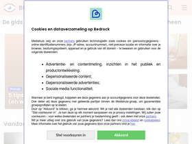 'bedrock.nl' screenshot