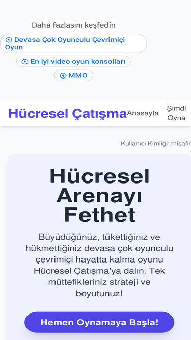 musteritemsilcisi.co