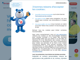 'butagaz.fr' screenshot