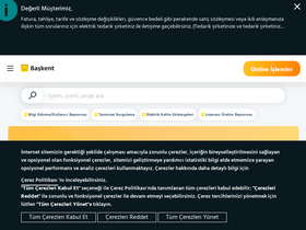 'baskentedas.com.tr' screenshot