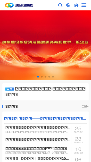 shandong-energy.com