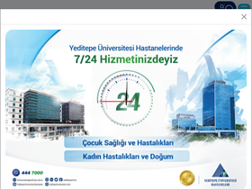 'yeditepehastanesi.com.tr' screenshot