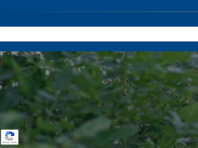 'americanpest.net' screenshot