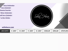 'selinhoca.com' screenshot