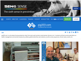 'pig333.com' screenshot