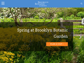 'bbg.org' screenshot