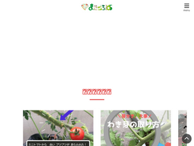 'homemade365.com' screenshot