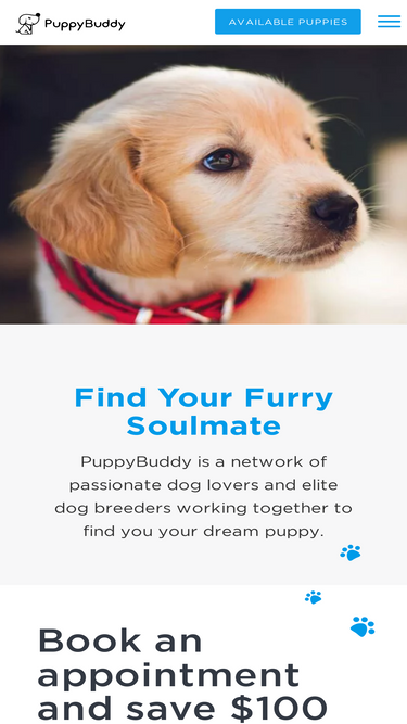 puppybuddy.com