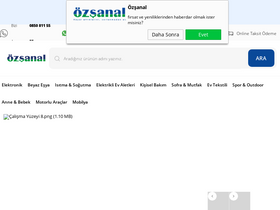 'ozsanal.com' screenshot